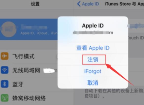 iPad登录的ID能删除吗（ipad登出账号）