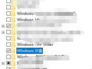 Win10怎么开启沙盒（window10 沙盒功能）
