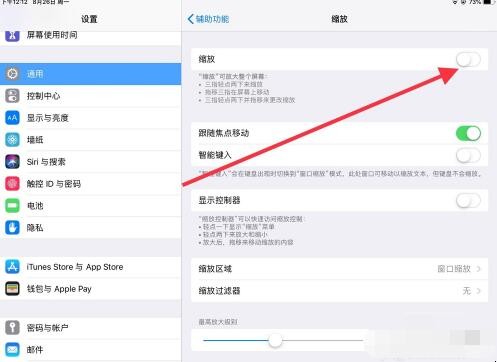 ipad怎么把图标放大（ipad2018怎么把图标变小）