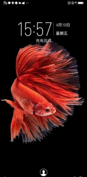 自动草稿 自动草稿