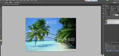 自动草稿 自动草稿