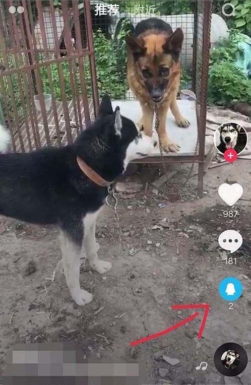 自动草稿 自动草稿