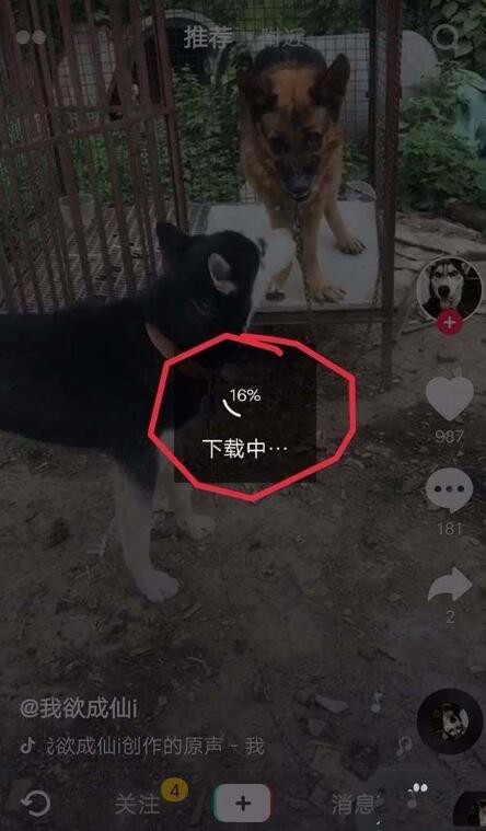 自动草稿 自动草稿