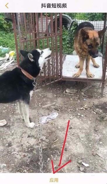 自动草稿 自动草稿