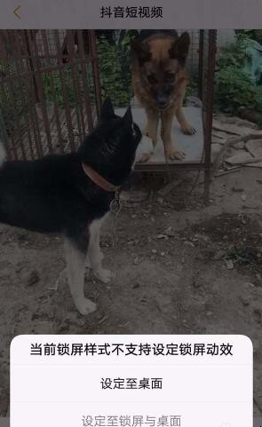 自动草稿 自动草稿