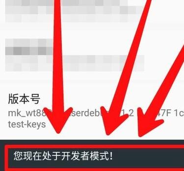 开发者模式在哪里（真我开发者模式怎么开启）