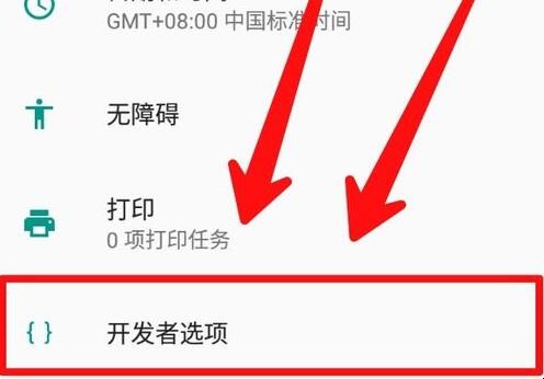 开发者模式在哪里（真我开发者模式怎么开启）