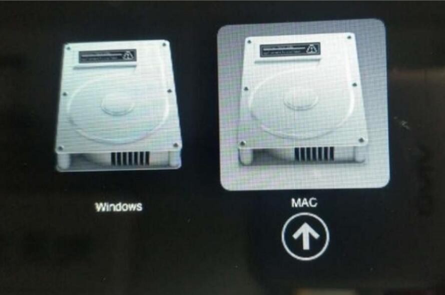 自动草稿 自动草稿