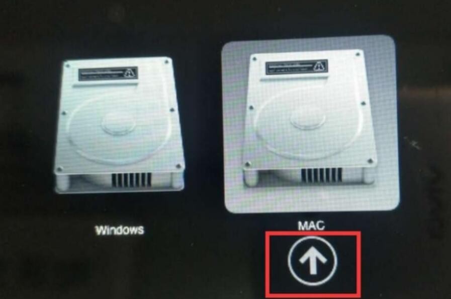 自动草稿 自动草稿