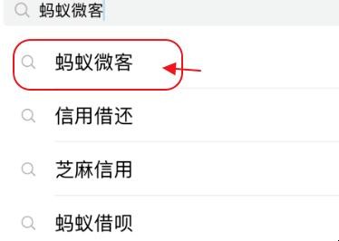 蚂蚁微客新手怎么赚钱(蚂蚁微客新手具体怎么操作) 蚂蚁微客新手怎么赚钱(蚂蚁微客新手具体怎么操作)