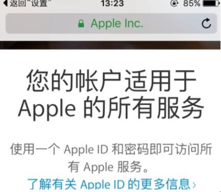 苹果手机的id码怎么输入（苹果id手机号码怎么输入）