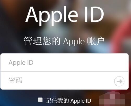 自动草稿 自动草稿